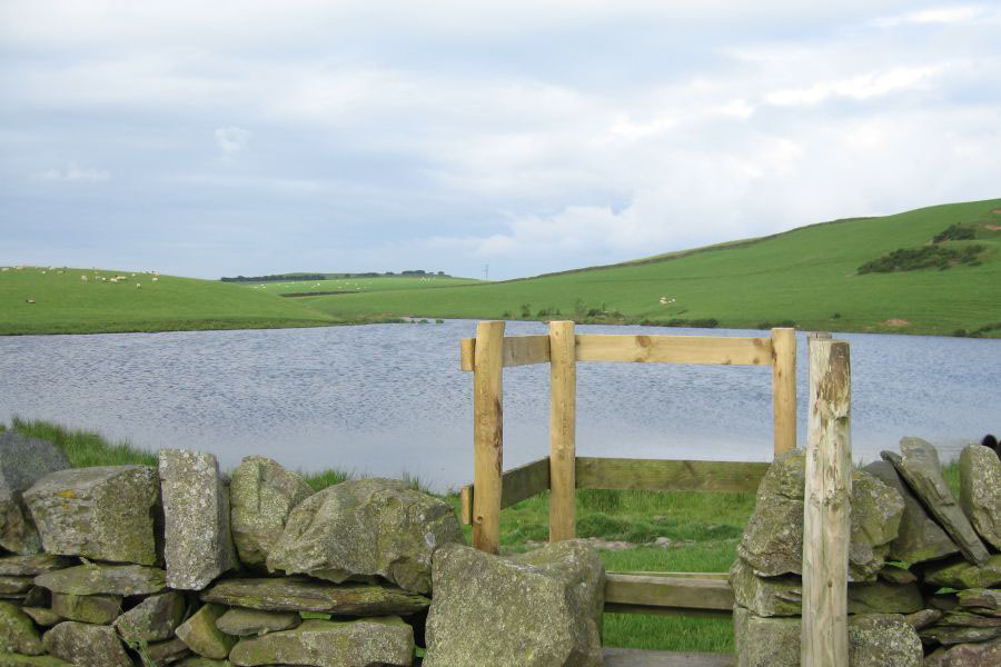 Ulverston Angling Photo